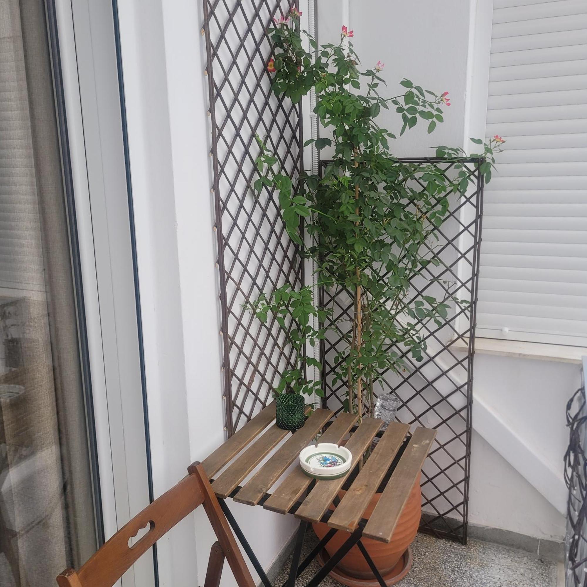Casa Bulu *